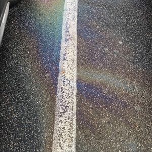 Meet your Posher, Keela